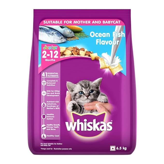 Whiskas Dry Cat Food for Kitten, Ocean Fish Flavour, 6.5 kg